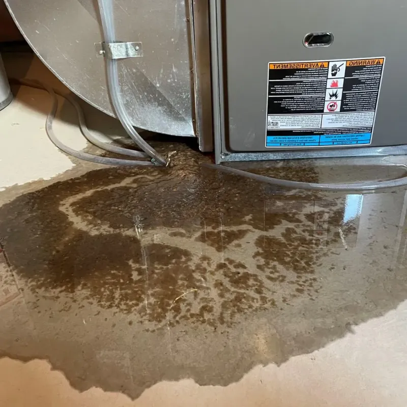 Pipe Burst and Leak Restoration in Franklin County, ID