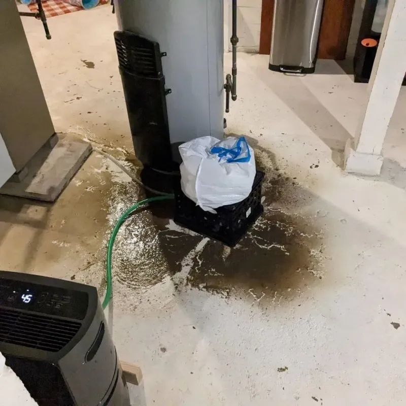 Sewage Backup Cleanup Service in Franklin County, ID